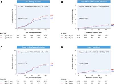 Two-Year clinical outcomes after coronary bifurcation stenting in older patients from Korea and Italy